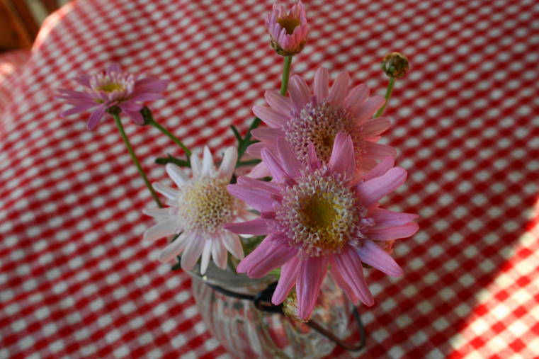 f0031304_973267.jpg