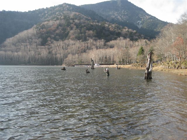 d0126708_2034115.jpg
