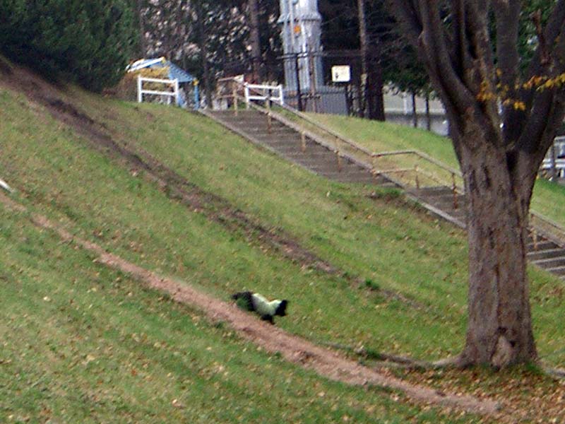 b0118416_22315219.jpg