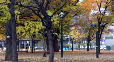 a0046429_23355567.jpg