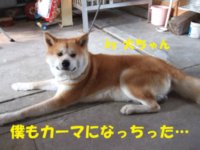 f0008935_12412944.gif