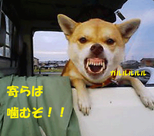 f0008935_12414765.gif