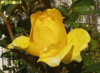 d0093936_112299.jpg
