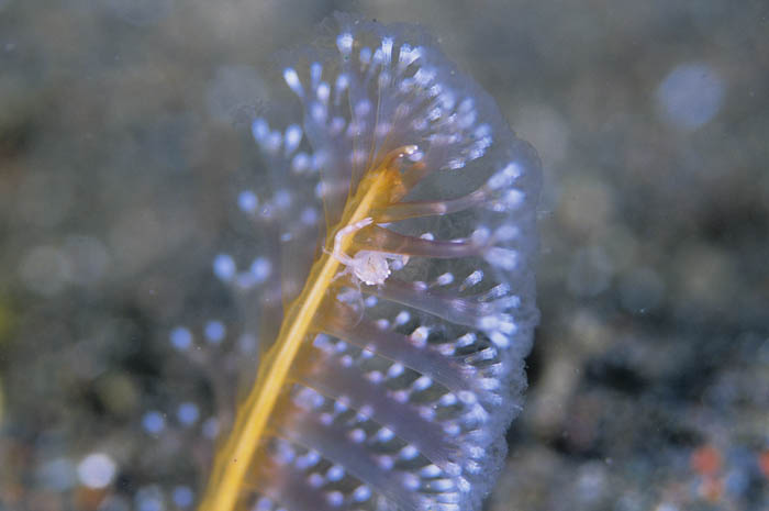 b0042837_17135343.jpg