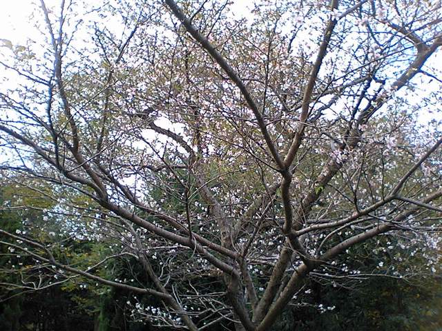 b0102639_23331636.jpg