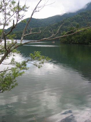 d0085939_21423826.jpg