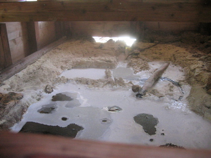 d0085939_21441237.jpg