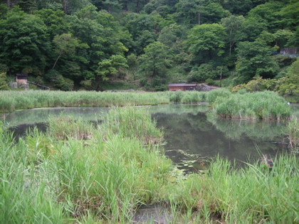 d0085939_21445613.jpg