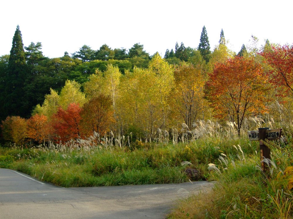 d0117039_2303131.jpg