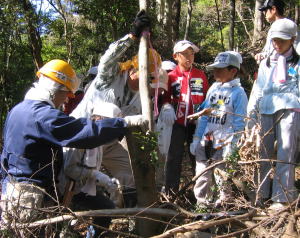 e0049740_2003960.jpg