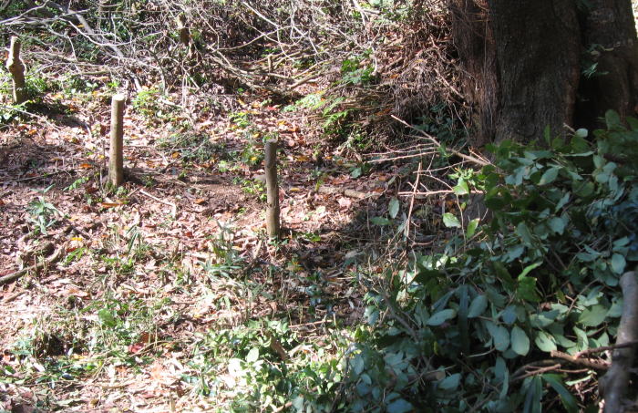 e0049740_20204788.jpg