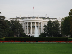 e0005548_1311795.jpg