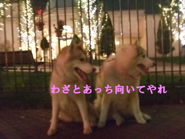 e0121548_2013520.jpg