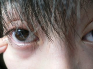 a0008549_2222383.jpg