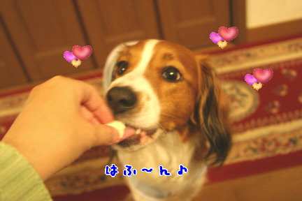 d0013149_161758.jpg