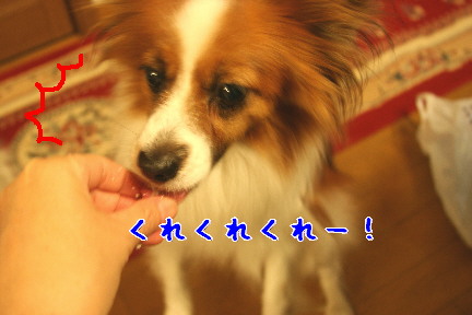d0013149_183013.jpg