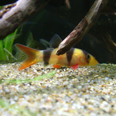 c0143854_031256.jpg