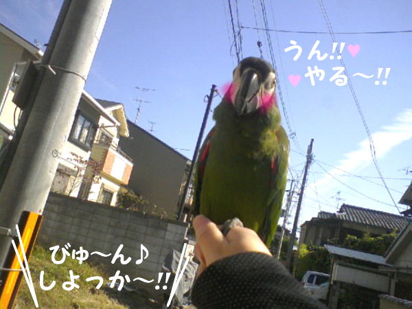 f0132055_23525016.jpg