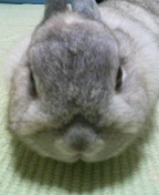 f0104057_20263765.jpg