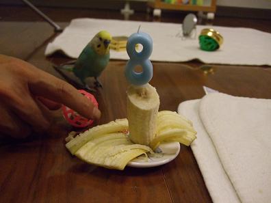 f0149057_14384.jpg