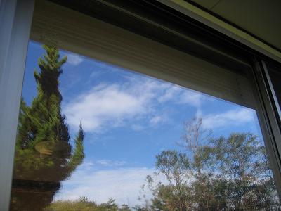 e0031568_1315410.jpg