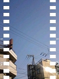 e0081772_932274.jpg