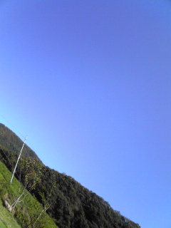 b0112375_75649100.jpg