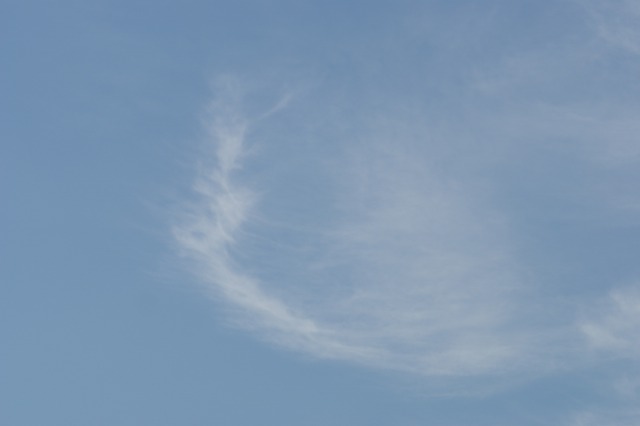d0079278_19131870.jpg