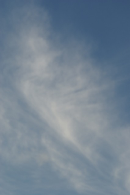 d0079278_1914038.jpg