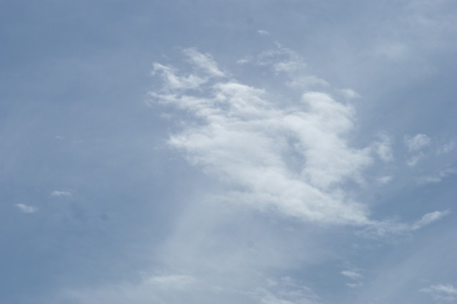 d0079278_19151854.jpg