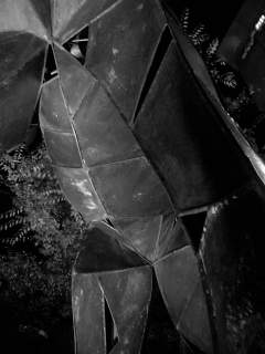 f0100480_19212695.jpg