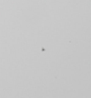 d0089281_1364680.jpg
