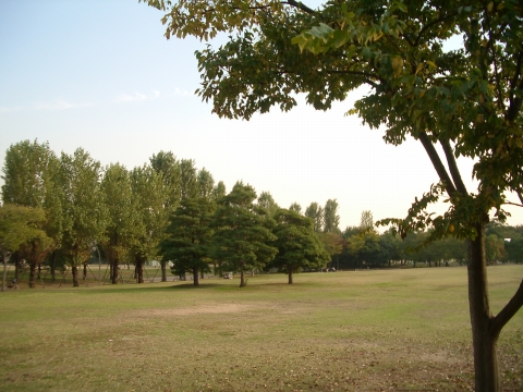 c0117383_1702193.jpg