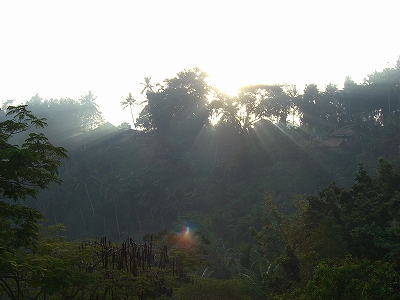 b0101284_0211920.jpg