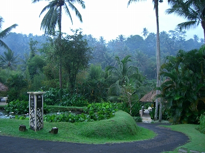 b0101284_0231075.jpg