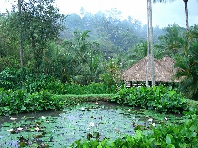 b0101284_0245857.jpg