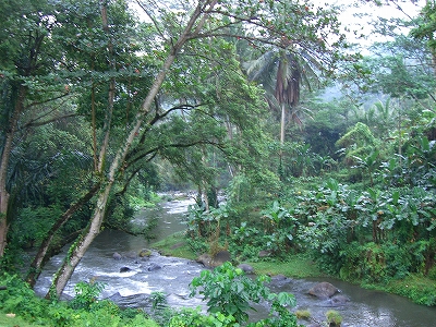 b0101284_0271370.jpg