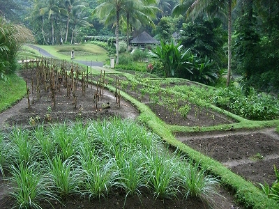 b0101284_028856.jpg