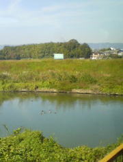 f0008692_216837.jpg