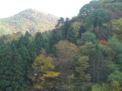 b0099994_10183010.jpg