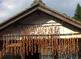 b0099994_10221461.jpg