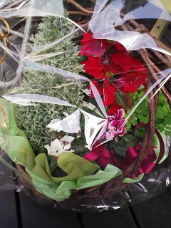 b0007895_20435365.jpg