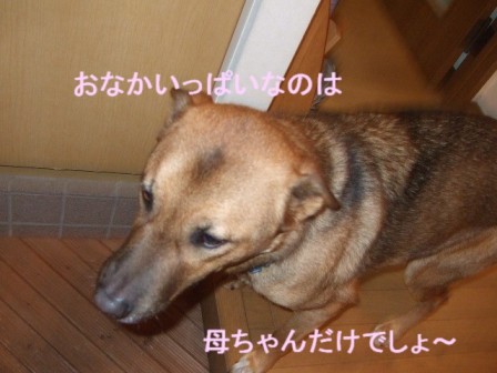 b0087400_23195510.jpg