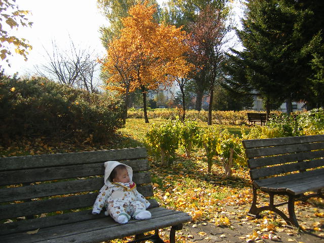 c0144703_10564756.jpg