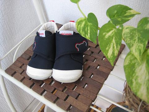 e0039804_1413686.jpg