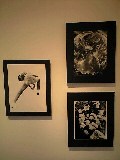 b0025405_1154335.jpg