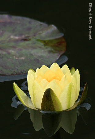 a0015106_70490.jpg