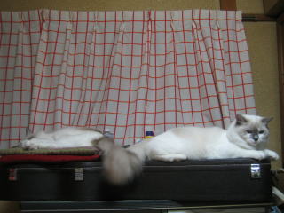 c0024410_2102146.jpg