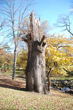 e0126914_22593151.jpg