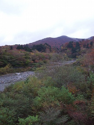 c0127617_18391298.jpg